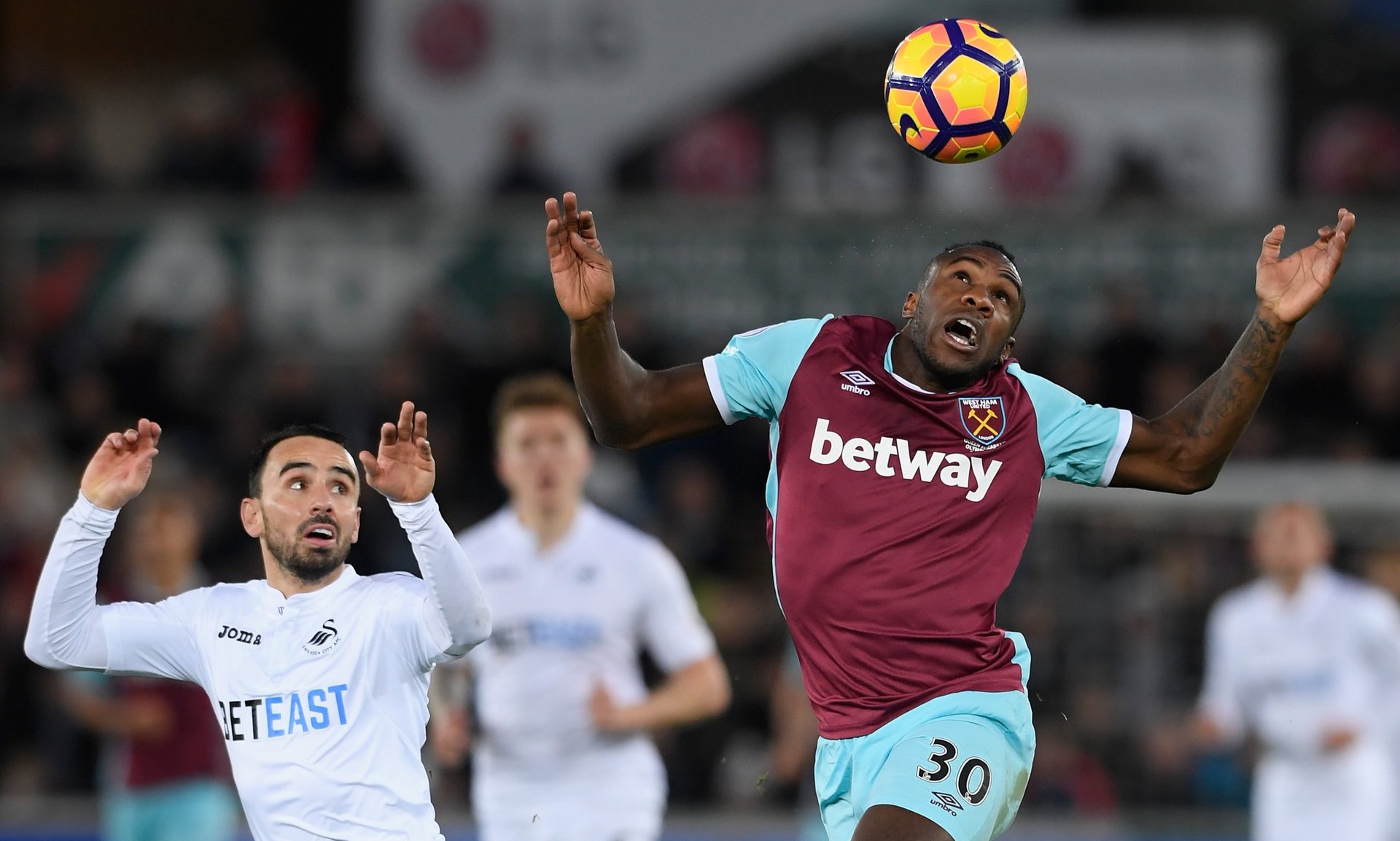 和专家解读 和专家解读